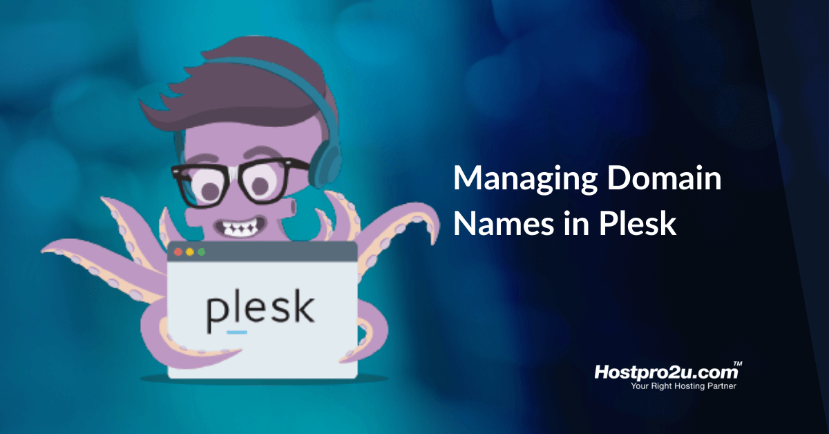 Managing Domain Names in Plesk